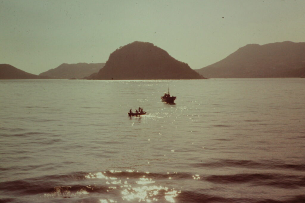 Det første anløb til Japan